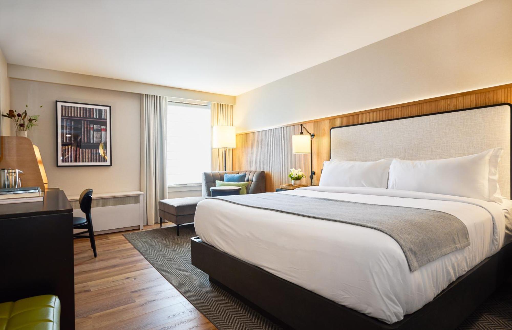 Superior King Room,1566984893:JPEG
